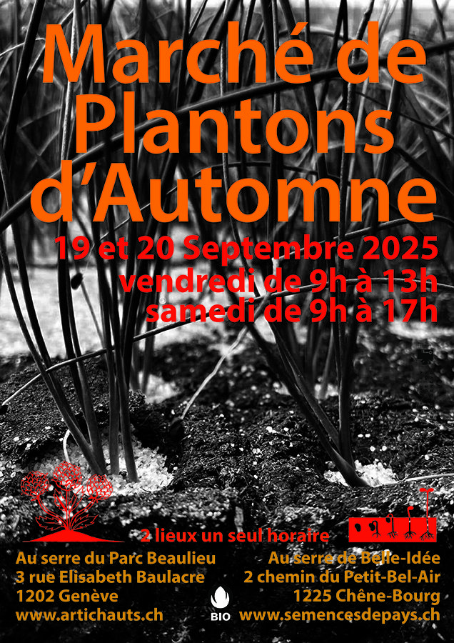 plantons_2